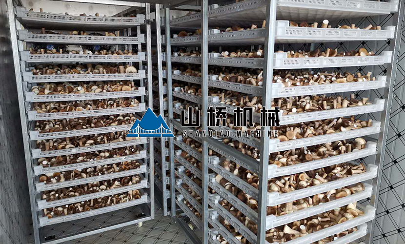 網(wǎng)帶式食用菌烘干機(jī)多少錢一臺？(圖1)