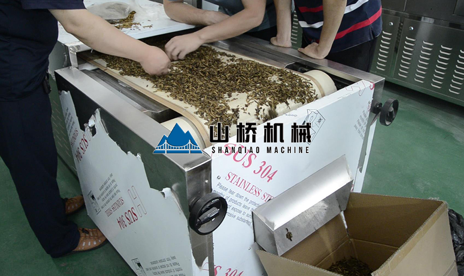 黃粉蟲微波殺菌機(圖1)