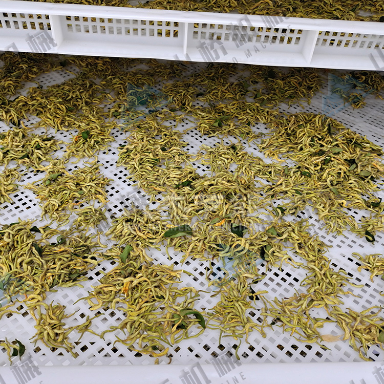 金銀花烘干機使用經(jīng)驗談(圖2)
